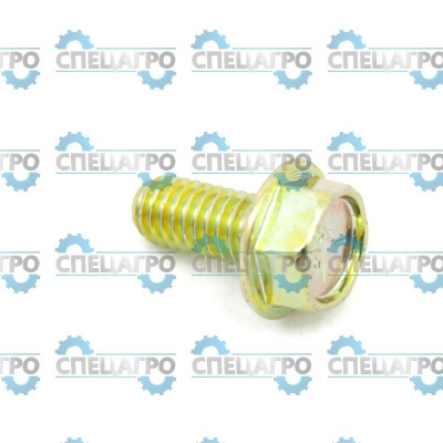 Винт Briggs&Stratton 791680