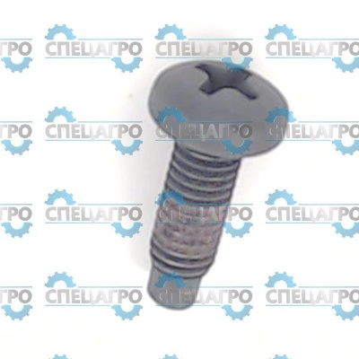 Винт Briggs&Stratton 790029
