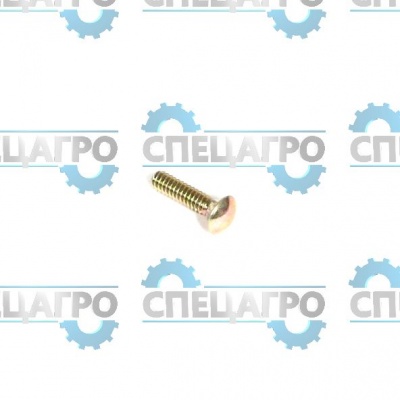 Винт Briggs&Stratton 691119