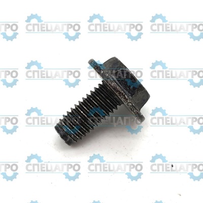 Винт Briggs&Stratton 699854