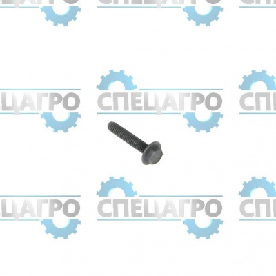 Винт Briggs&Stratton 691061