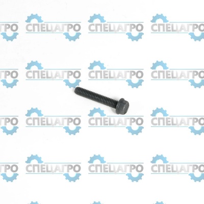 Винт Briggs&Stratton 691092