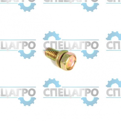 Винт Briggs&Stratton 691058