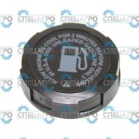 Зам. на 795027 Пробка Briggs&Stratton 493988S