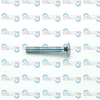 ВИНТ 6X 30 603- 4.6VZ 701170 Al-Ko