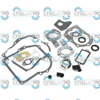 Прокладки (комплект) Briggs&Stratton 495605