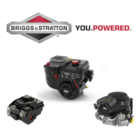 Двигатели Briggs&Stratton