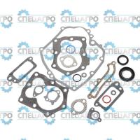 Зам. на 590508 Прокладки (комплект) Briggs&Stratton 794307