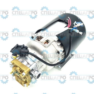 Мотор и помпа в сборе мойки высокого давления 5100907 Greenworks 311101834