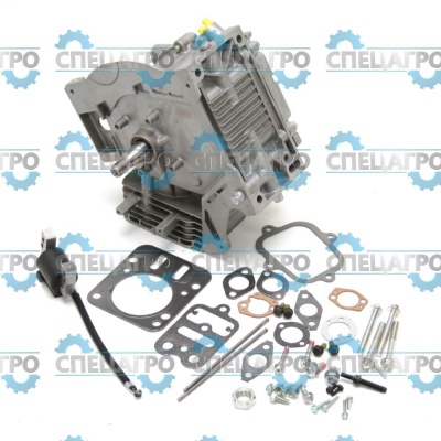Ремонтный блок Briggs&Stratton 798241