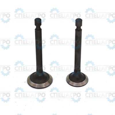 Клапан BC4311/PC5332F,5431F комплект 2 шт замена на 500550071-0001 Champion 500550033-0001
