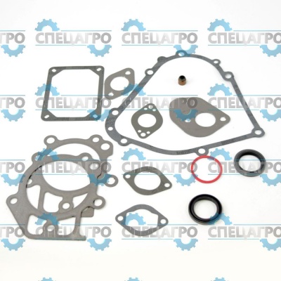 Прокладки (комплект) Briggs&Stratton 795201