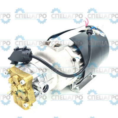 Мотор и помпа в сборе мойки высокого давления 5100907 Greenworks 311101834