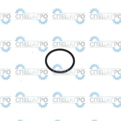 Кольцо уплотнительное SPARTA 25TR Oleo-Mac 3049-040 (3049040)